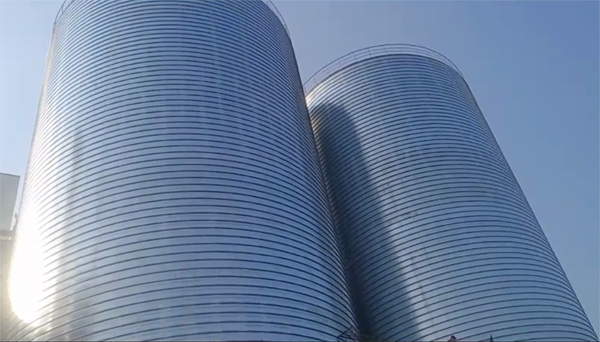 当雄2座混凝土高架卷板仓